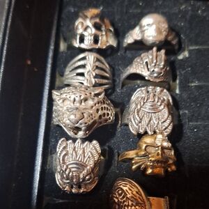 Silver Skull and Animal Design Rings Set Young men sizes